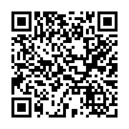 QR code for PPV395
