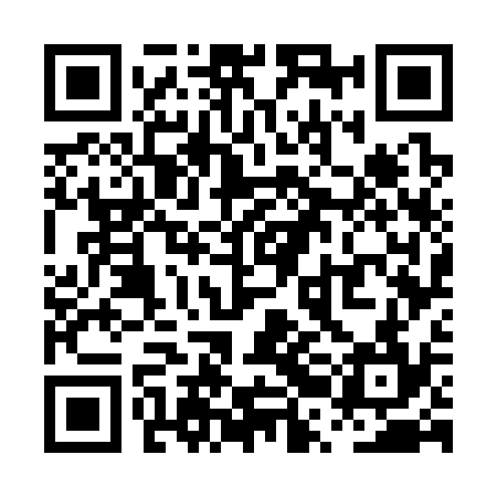 QR code for PRG334