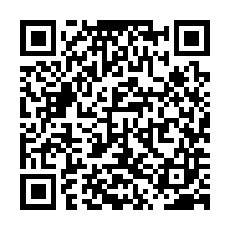QR code for PTM383