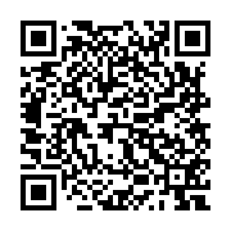 QR code for PUB951