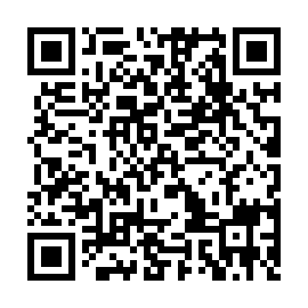 QR code for PYN819