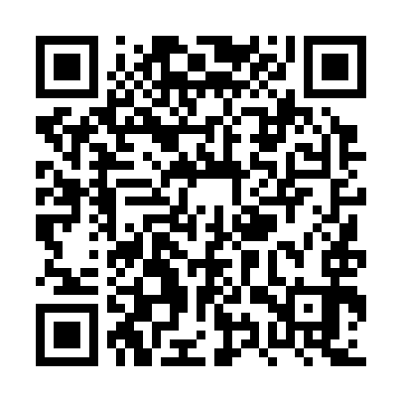 QR code for PYT393