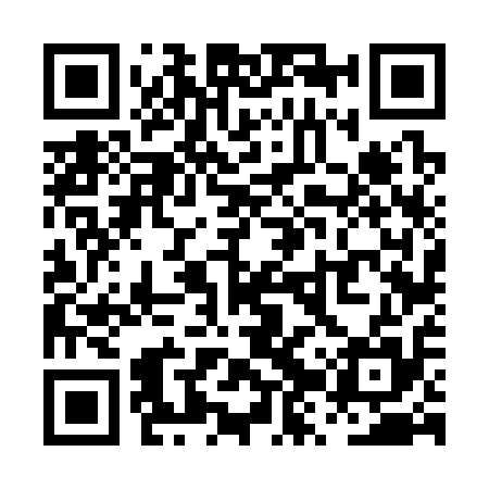 QR code for PZV315