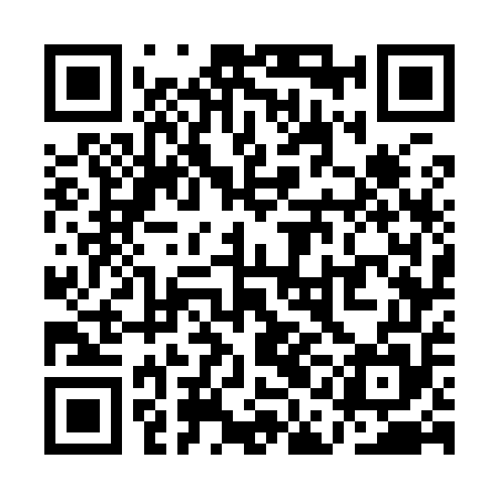 QR code for QAG955