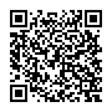 QR code for QAR163