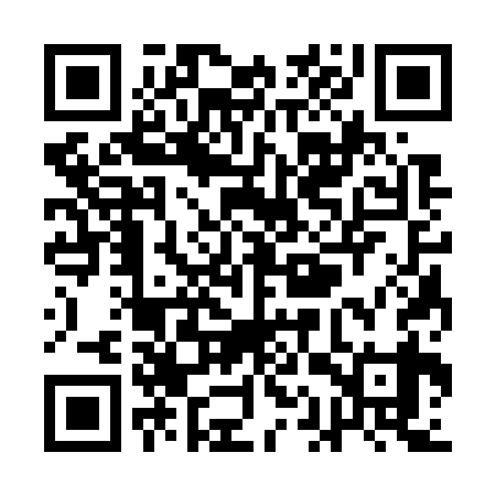 QR code for QAS739