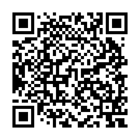 QR code for QDP295