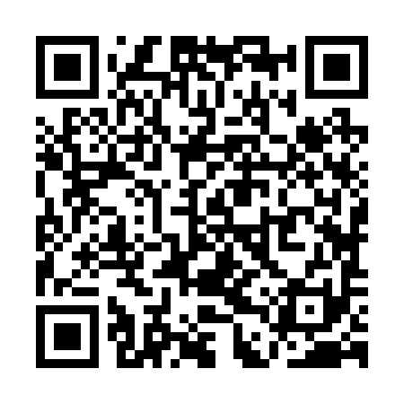 QR code for QDZ291