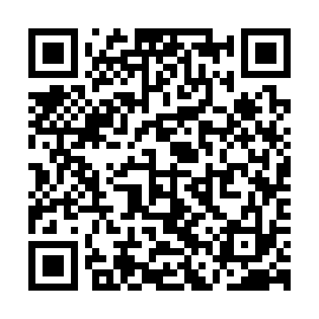 QR code for QFS333
