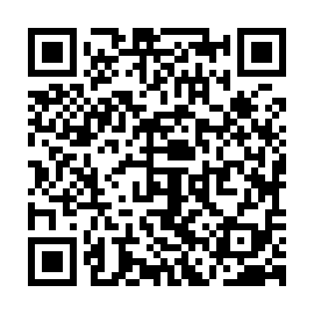 QR code for QFZ919