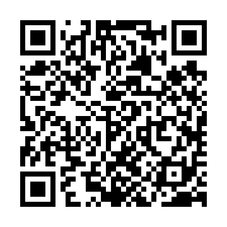QR code for QIR611