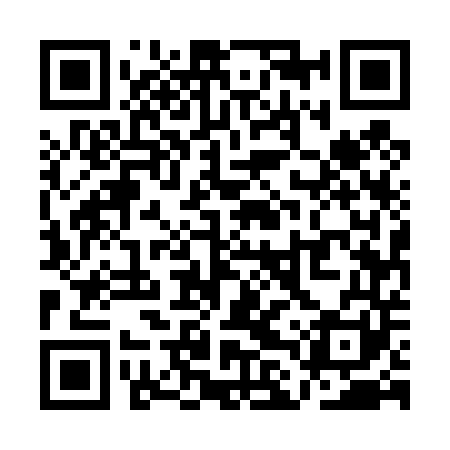 QR code for QLU441