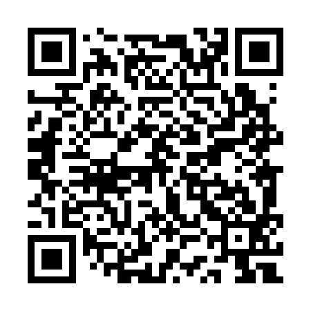 QR code for QSL393