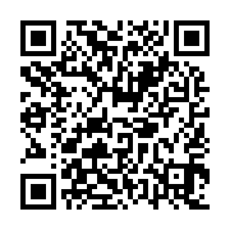 QR code for QUN911
