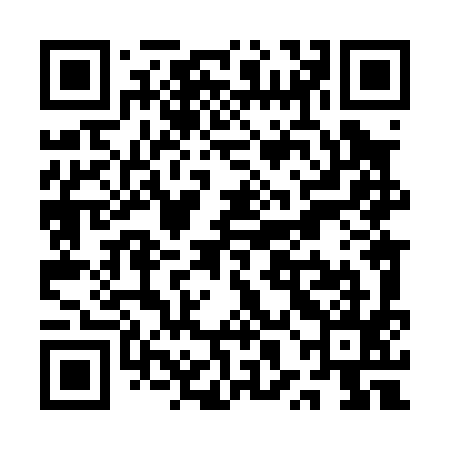 QR code for QXL095