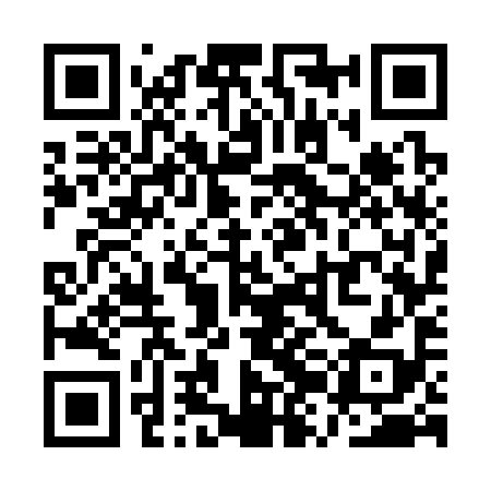QR code for QZG398