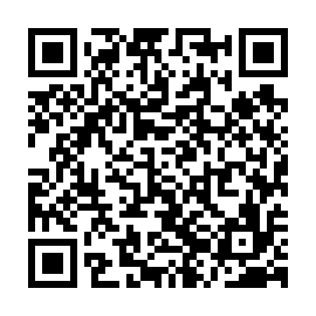 QR code for QZM616