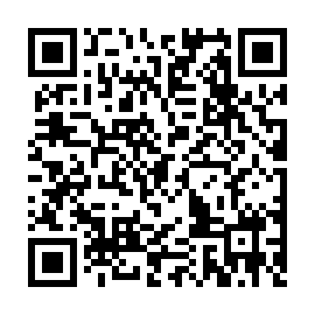 QR code for RAG008