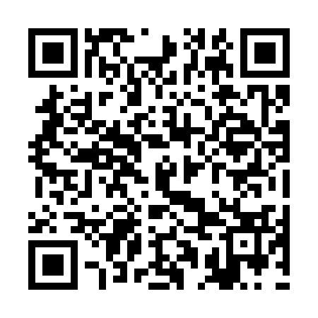 QR code for RAJ333