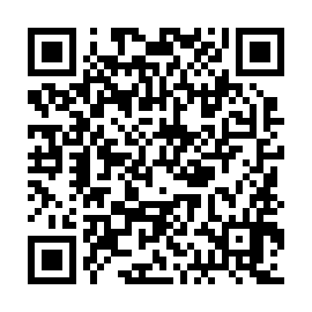 QR code for RAL294