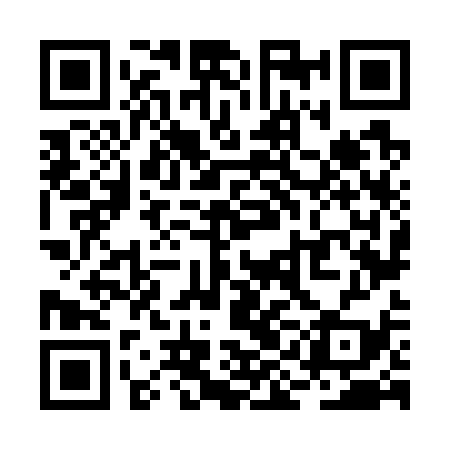 QR code for RIN739