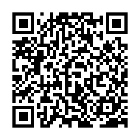 QR code for ROI325