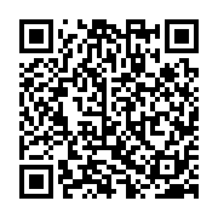 QR code for RPV311