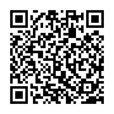 QR code for RPX538