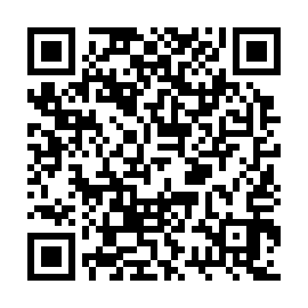 QR code for RSN313