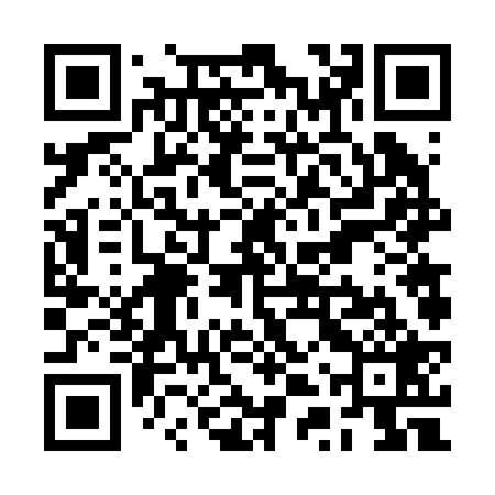 QR code for RTV229