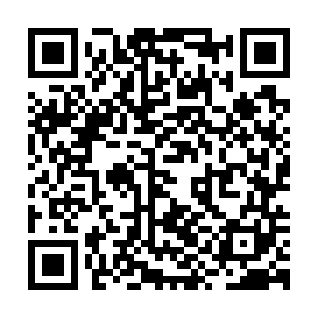 QR code for RYO741