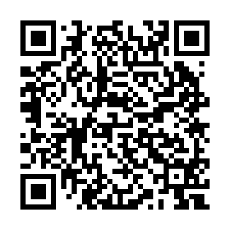 QR code for RZK294