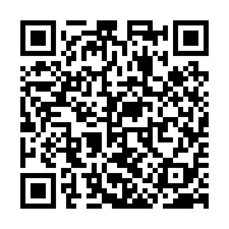QR code for SAS219