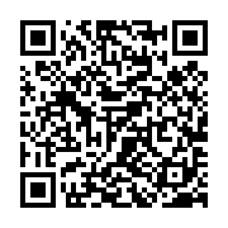 QR code for SDL491