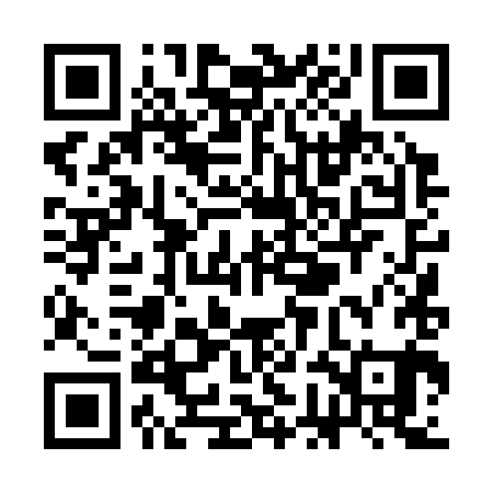 QR code for SGD381