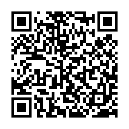 QR code for SGD493