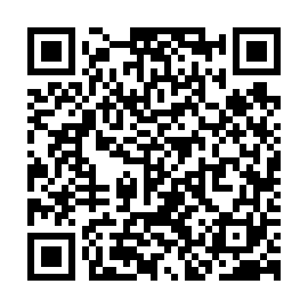 QR code for SKV661