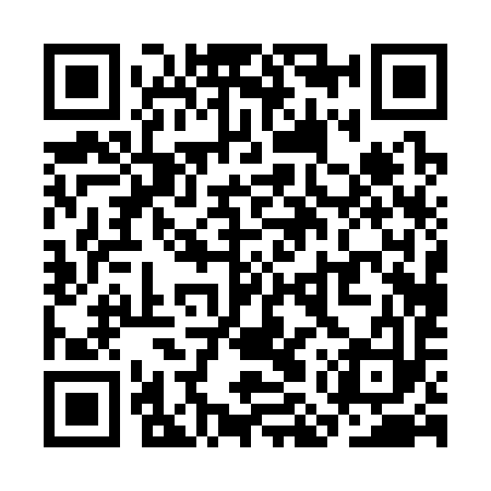 QR code for SMP393