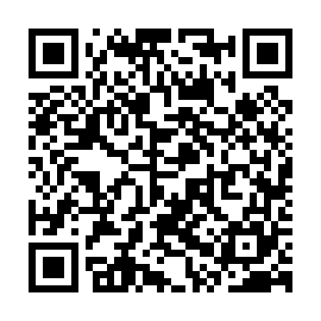 QR code for SPV065