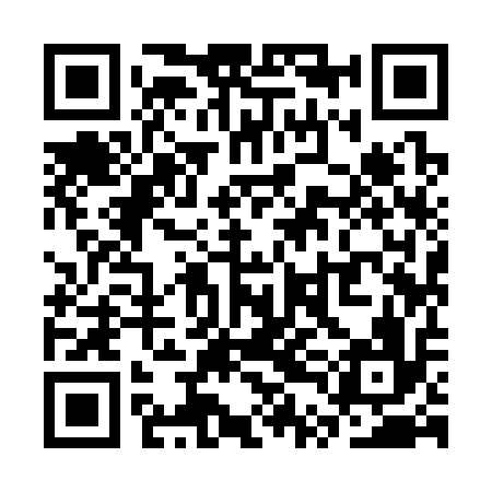 QR code for STI316