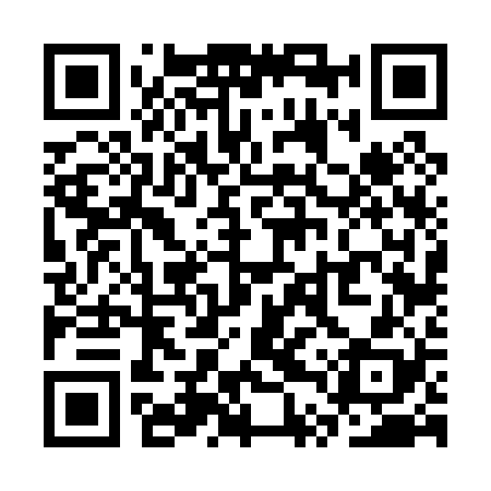QR code for STV028