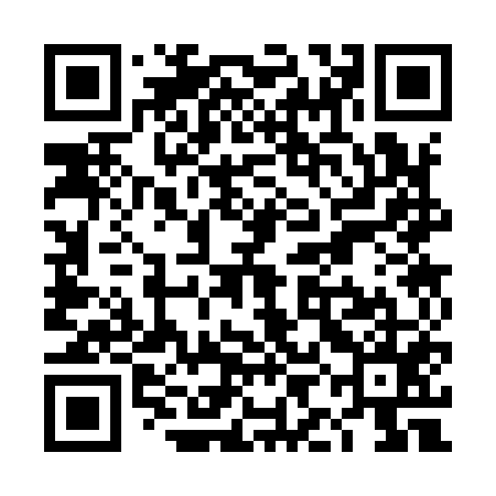 QR code for TIC955