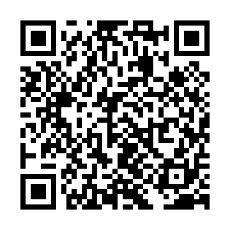 QR code for TII010