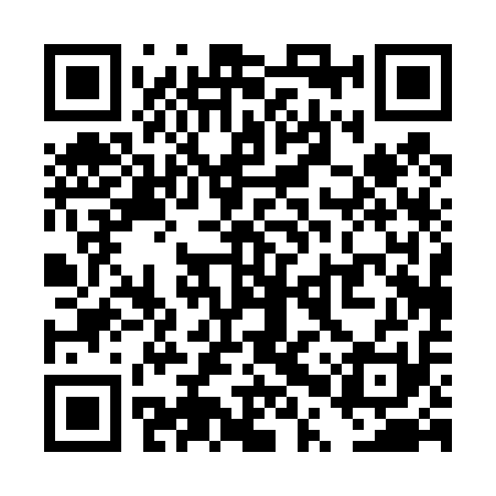 QR code for TPP411