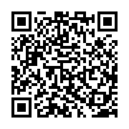 QR code for TPP919