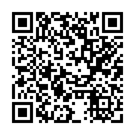 QR code for TTR381