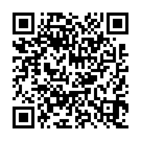 QR code for TYZ611
