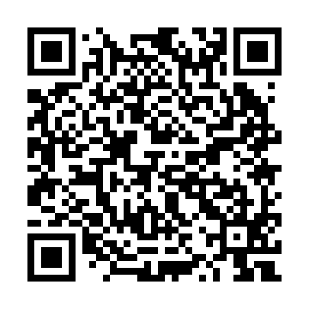 QR code for TZQ295