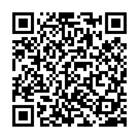 QR code for UDK459