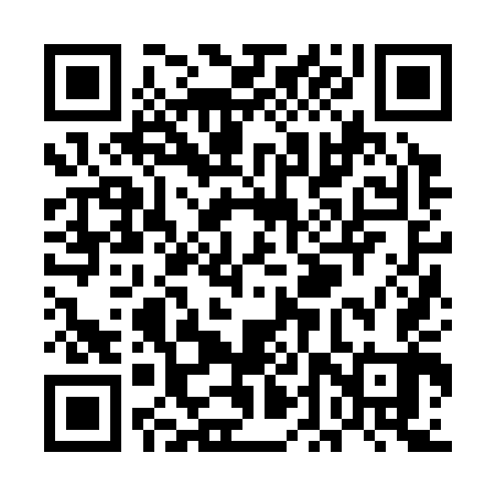QR code for UDZ343